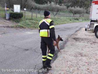 Lago di Bolsena - Le ricerche del disperso - Le unità cinofile