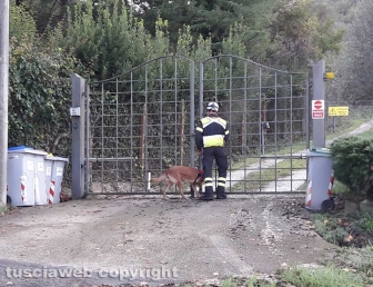 Lago di Bolsena - Le ricerche del disperso - Le unità cinofile