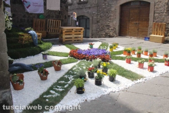 San Pellegrino in fiore senza fiori