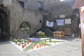San Pellegrino in fiore senza fiori
