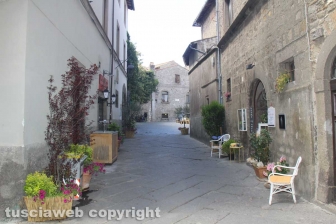 San Pellegrino in fiore senza fiori