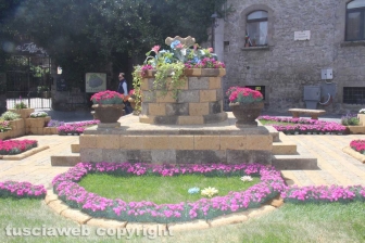 San Pellegrino in fiore senza fiori
