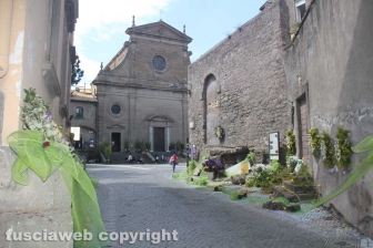 San Pellegrino in fiore senza fiori