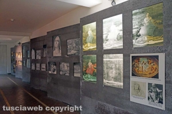 Sebastiano del Piombo al museo civico