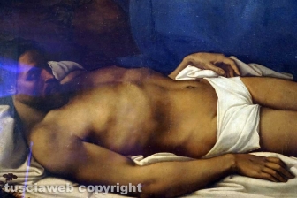 Sebastiano del Piombo al museo civico