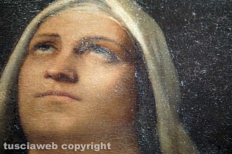 Sebastiano del Piombo al museo civico