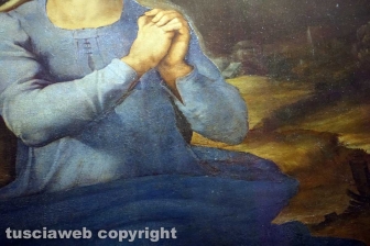 Sebastiano del Piombo al museo civico