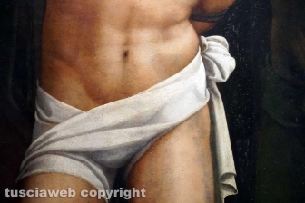 Sebastiano del Piombo al museo civico