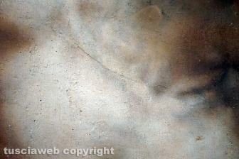 Sebastiano del Piombo al museo civico