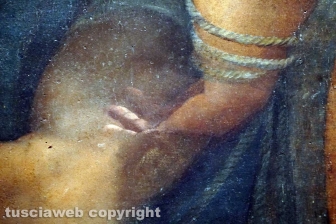 Sebastiano del Piombo al museo civico