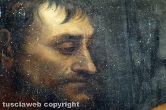 Sebastiano del Piombo al museo civico