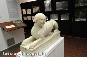 Museo civico - Sebastiano del Piombo & c.