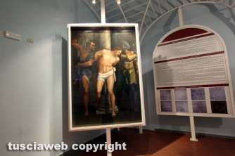 Museo civico - Sebastiano del Piombo & c.