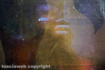 Sebastiano del Piombo