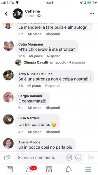 Selvaggia Lucarelli, i post offensivi