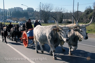 Sfilata di Sant\'Antonio e benedizione degli animali