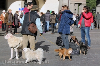 Sfilata di Sant\'Antonio e benedizione degli animali