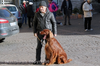 Sfilata di Sant\'Antonio e benedizione degli animali