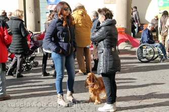 Sfilata di Sant\'Antonio e benedizione degli animali