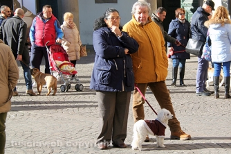 Sfilata di Sant\'Antonio e benedizione degli animali