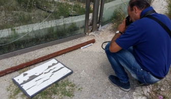 Sfondate le vetrate del Bullicame