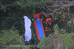 Viterbo -  Superstrada - Si uccide buttandosi dal ponte
