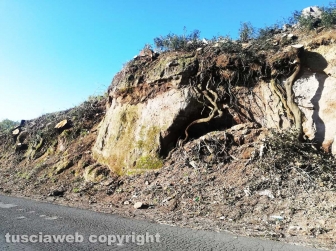 Sistemato costone a Foro Cassio