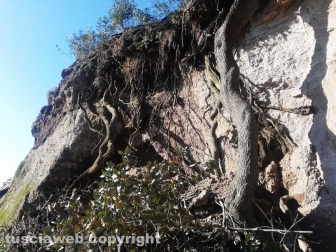 Sistemato costone a Foro Cassio