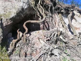 Sistemato costone a Foro Cassio