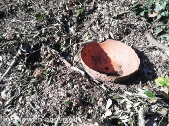 Sistemato costone a Foro Cassio