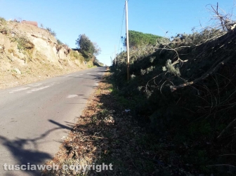 Sistemato costone a Foro Cassio