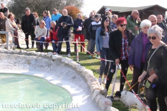 Sit-in alle masse di San Sisto