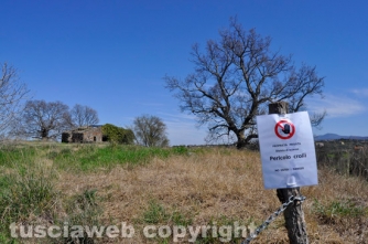 Viterbo - I segnali di pericolo crolli
