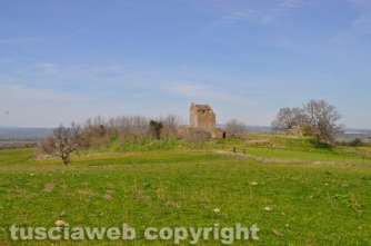 La zona casale del quartuccio