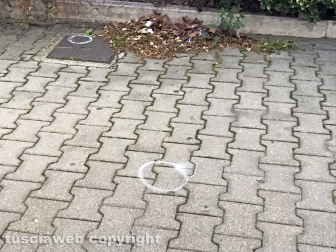 Sparatoria tra polizia e banditi