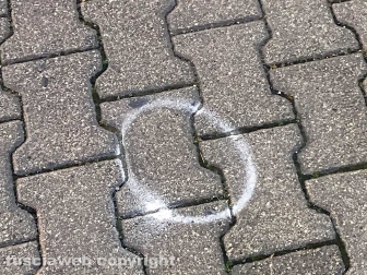 Sparatoria tra polizia e banditi