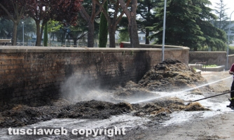 Vigili del fuoco - Spento l\'incendio al Pilastro