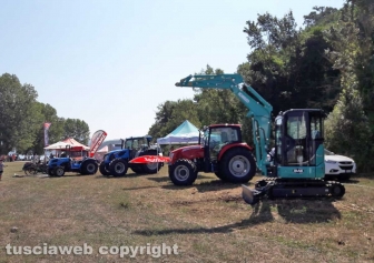 Montefiascone - Spettacolo all'Air show