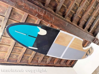 Squali predatori perfetti