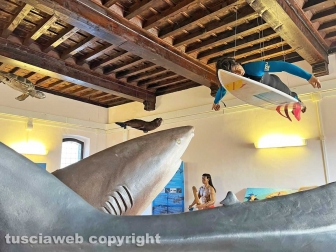 Squali predatori perfetti