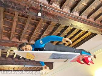 Squali predatori perfetti