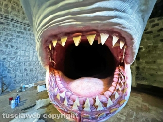 Squali predatori perfetti