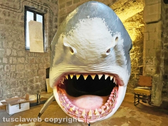 Squali predatori perfetti