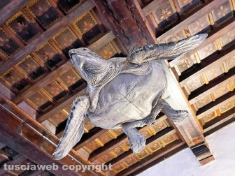 Squali predatori perfetti