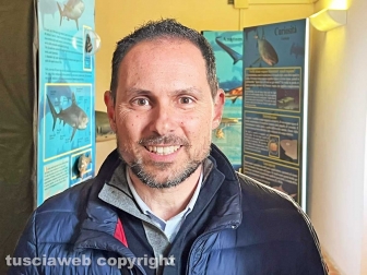 Squali predatori perfetti