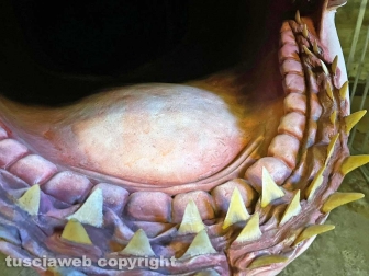 Squali predatori perfetti