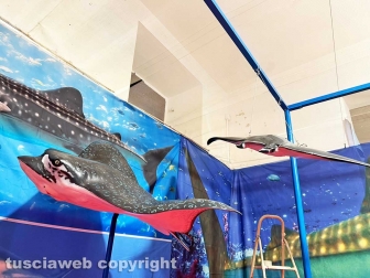 Squali predatori perfetti