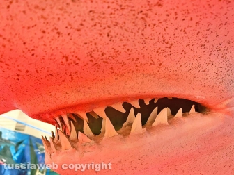 Squali predatori perfetti