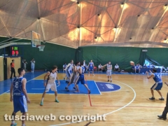 Basket - Stella azzurra in serie B