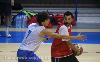 Stella azzurra - Orvieto